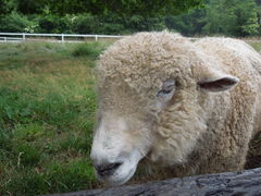 山梨県立まきば公園の口コミ一覧 じゃらんnet