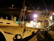 `̃ANACg_CrONu̓eʐ^1