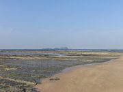 ڂ肳̎ᏼkC݂̓eʐ^1