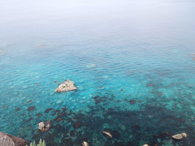 �ϒO�u���[_�_�Ж�