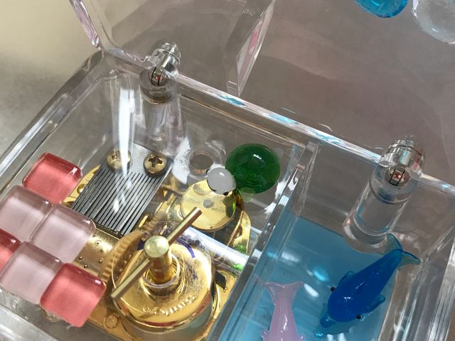 ��5�̖��̎��R�����Ɂc_�͂����Ė�����