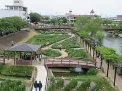 水郷潮来あやめ園の口コミ一覧 3ページ目 じゃらんnet