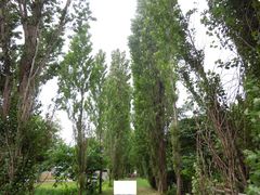 kichi̖k|v؂ւ̓eʐ^1