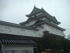 򂨏肳񂳂̘a̎Rւ̓eʐ^1