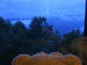 Ƃ炿񂳂̂т̓eʐ^1