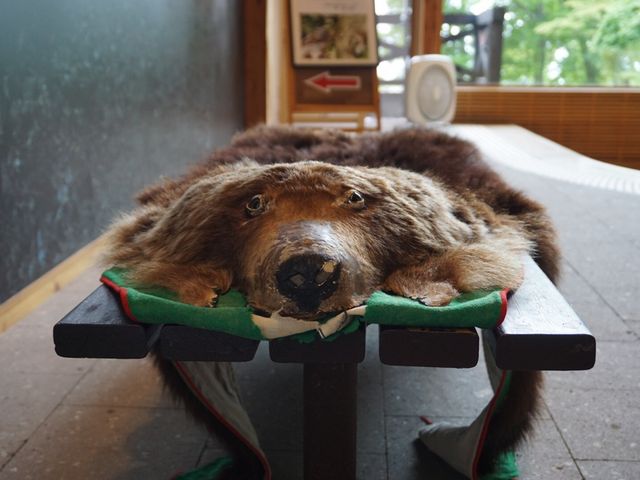 �{�ݓ��̃x���`�ɌF����_�x┌΃r�W�^�[�Z���^�[