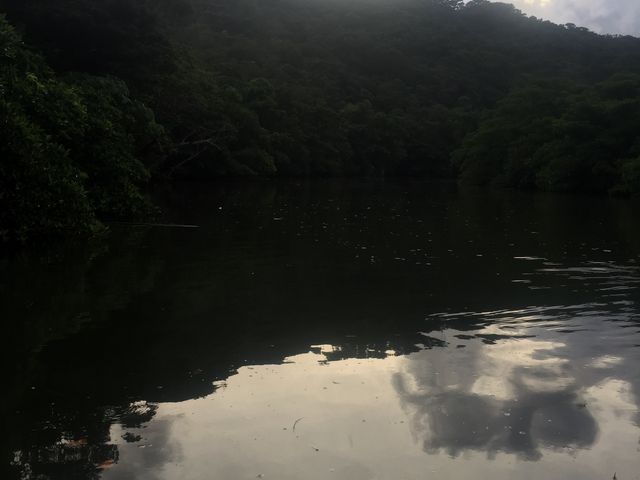 ������N���[�W���O_�Y����V���D