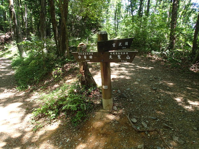 �r���̕���H�B_���������R����