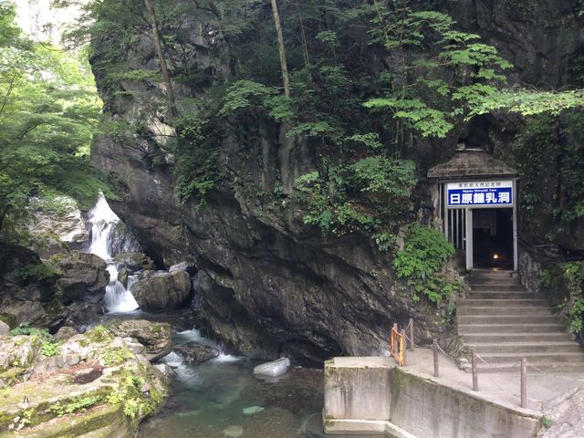 ���ꂢ�Ȑ����Əߓ�������_�����ߓ���