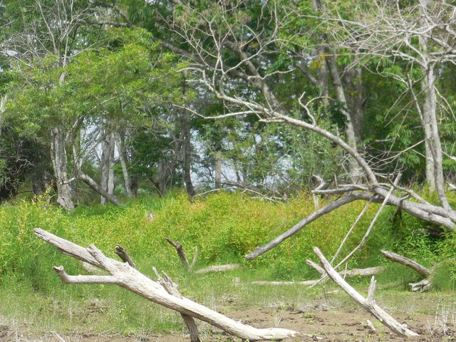 ����_���C�N�T�C�h�Ƃ���