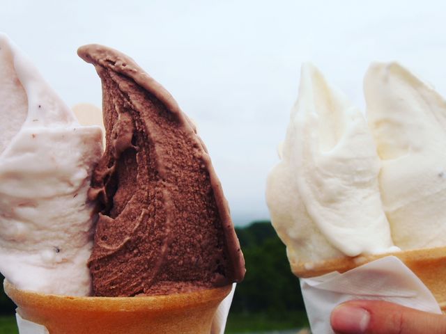 �W�F���[�g�_�u��330�~_�����R����