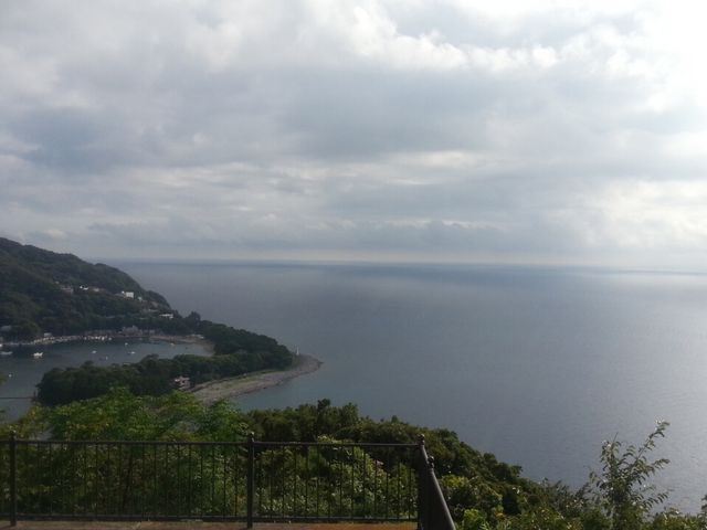 �o����������̌�l��_�o������