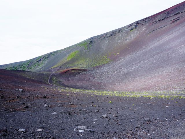 ��i�Ό��@�ォ��_��i�g���b�L���O�R�[�X