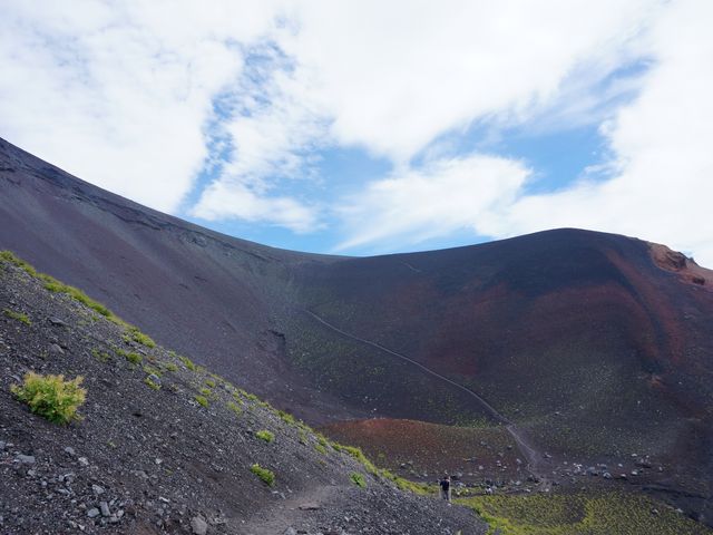 ��i�Ό��@������_��i�g���b�L���O�R�[�X