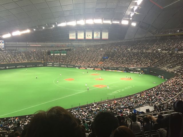 �싅_��a�n�E�X�v���~�X�g�h�[��