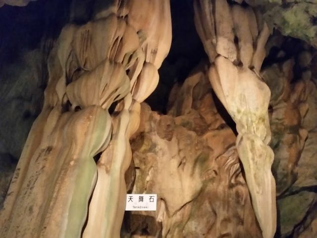 ���R�̗͂��Ă������ł���_���͓�