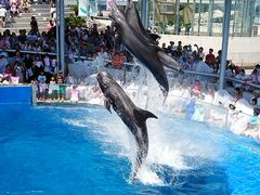 大分マリーンパレス水族館 うみたまご の写真一覧 じゃらんnet