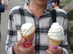 `[[̓ߐ{샖uqւ̓eʐ^1