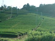 mayủF̋@a̒̓eʐ^1