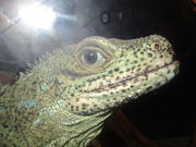 ݂[̊CكV[h[ic̓eʐ^3