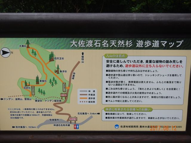 �Ԃł���������牓���ł���I_�卲�n�Ζ��V�R��