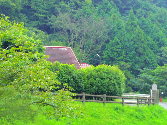 jyarapon̂ԂƂނ?ނ̓eʐ^1