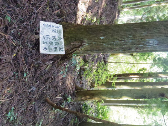 jyarapon̊}`Ridxmj̓eʐ^1