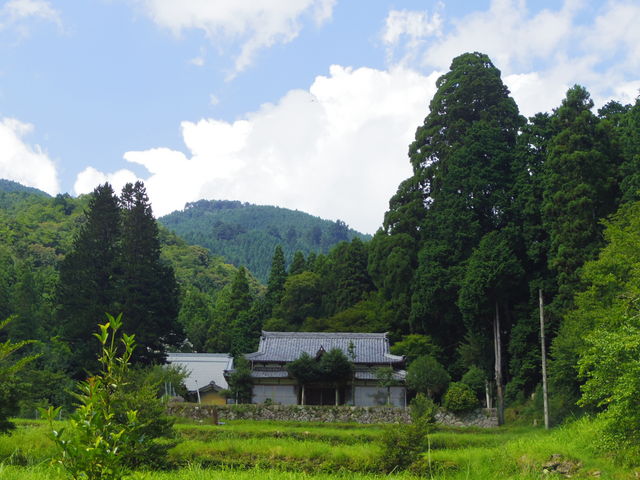 jyarapon̊}`̃RE}L̓eʐ^1