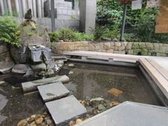 ��������񂳂�̌�������ւ̓��e�ʐ^1