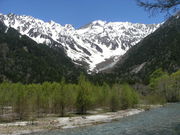 ibokororȉLv̓eʐ^1