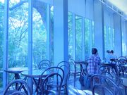 ݂ۂ񂳂̐_ւ̓eʐ^4