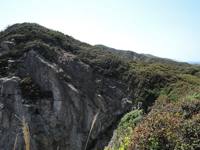 �f�R�U����_�哰�R���R�T���H