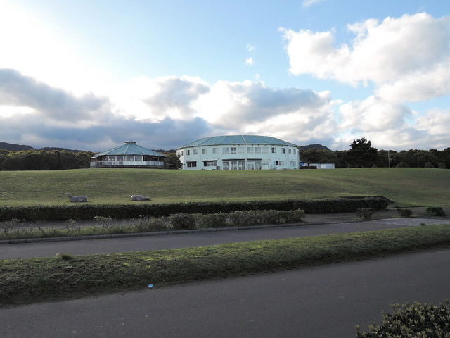 ������傤�_���ƃl�X�g�E�E�F�X�g�K�[�f���y��_�y�������K�͌����i����n��j