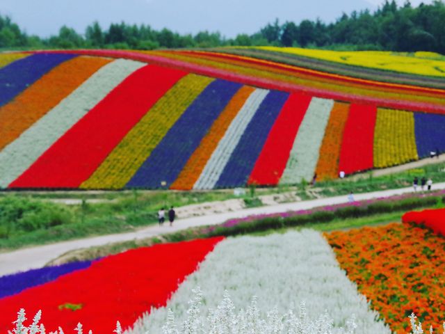 8�����{_�l�G�ʂ̋u