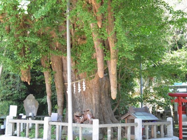 ����͂����I�H_�C��_��