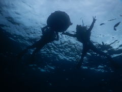 ҂񂭂̃}T[rXނʁ[ւ̓eʐ^1