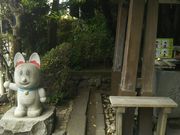 Ƃ˂̕xmZԐ_Ђ̓eʐ^2