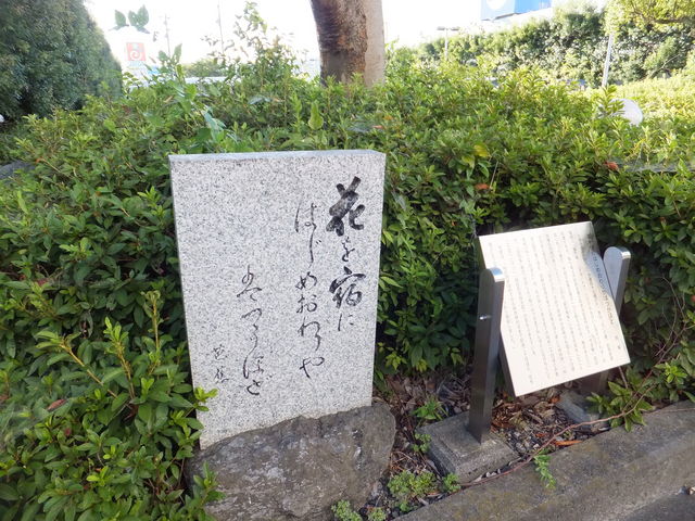 ڂ炳̔mԋitbNXzej̓eʐ^1