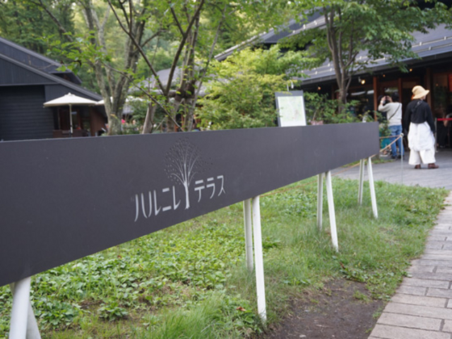 ^Cg̃fUCJbRł_y򐯖GA@njeX