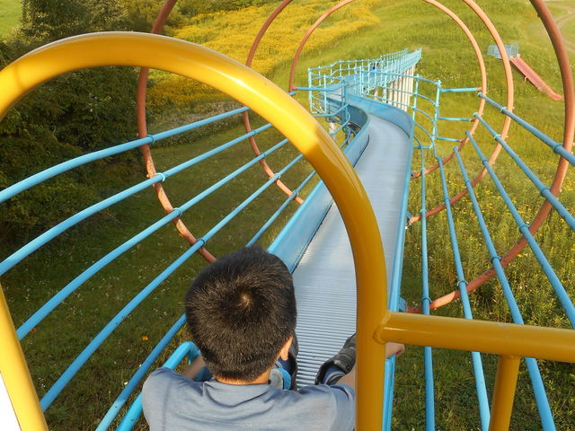 ܂܂̂炩DxrbWuAERUv̓eʐ^1