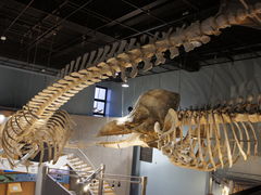 �͂Ȃ���̌~�ƊC�̉Ȋw�قւ̓��e�ʐ^1