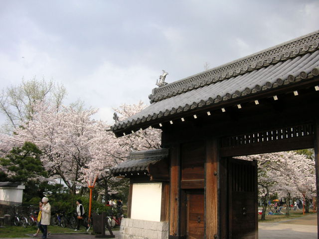 �V����Ռ���_�V����Ռ����̍�