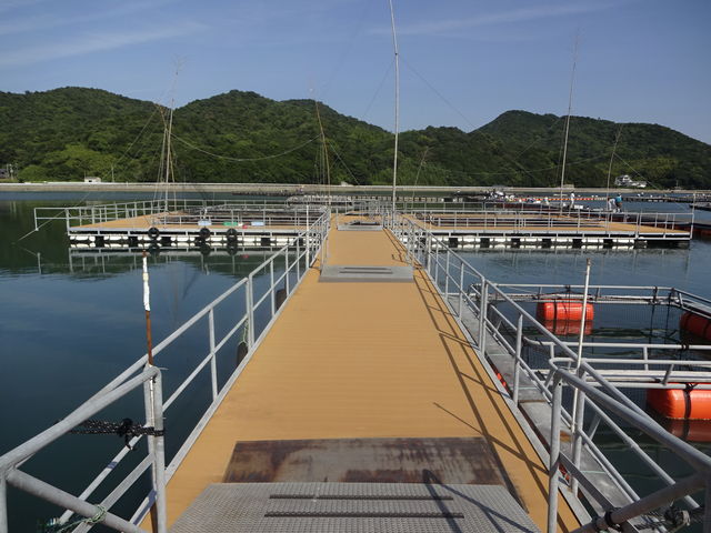 ��ԏ��ł�_�̌��w�K�ك}�[�����b�R