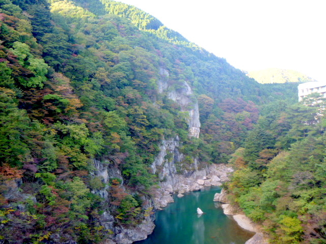 �S�{�|���݋��@�g�t���̒��]_�S�{�|���݋�