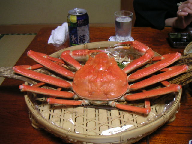 �J�j_�ؒÉ���