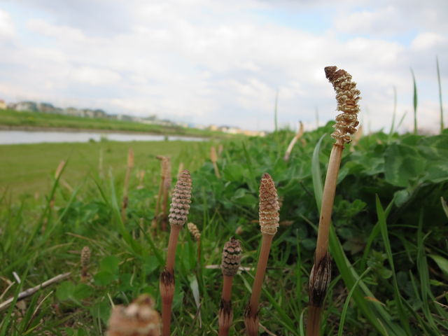 񂾂ׁ[̗͐~Βn̓eʐ^1