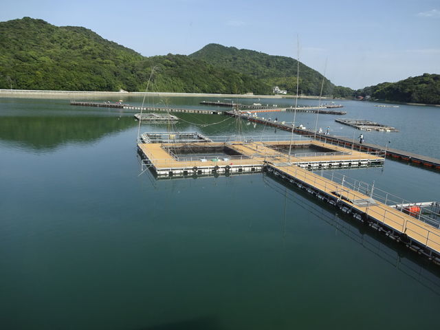 �Ђ낳��̈��˒r�̓��e�ʐ^1