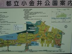 cJ擙X͂̏Zl̏̍ւ̓eʐ^1