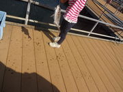 Ђ낳̑̌wKك}[bR̓eʐ^4