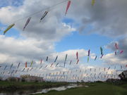 񂾂ׁ[̂̂ڂ̓eʐ^1